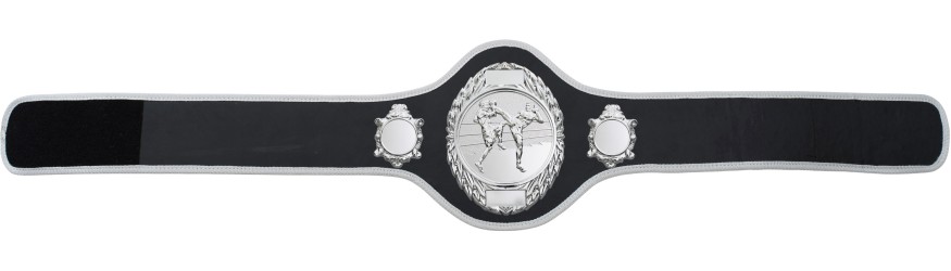 THAI BOXING CHAMPIONSHIP BELT-PRO286/S/TBOS-10+ COLOURS